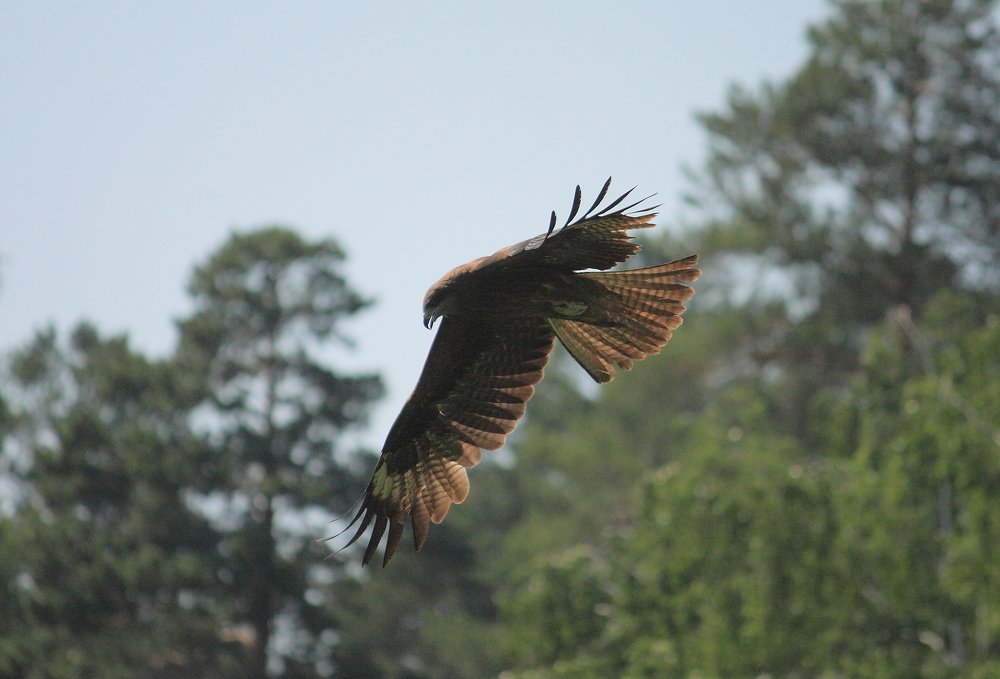 Photograph by Владилен Панченко
