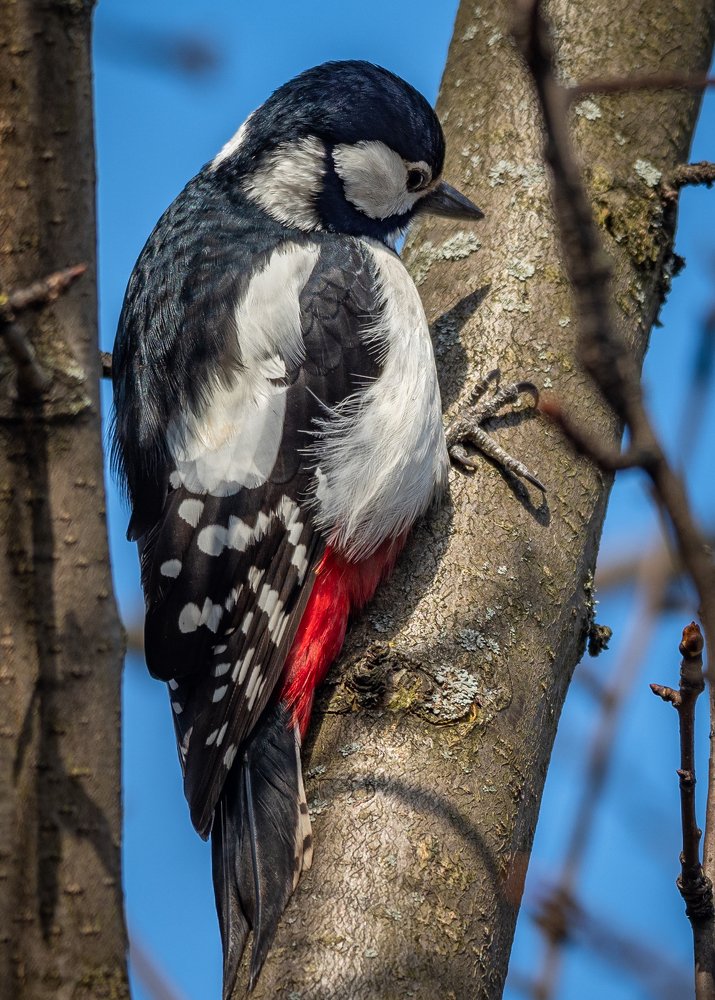 Photograph by Курлянцев Алексей