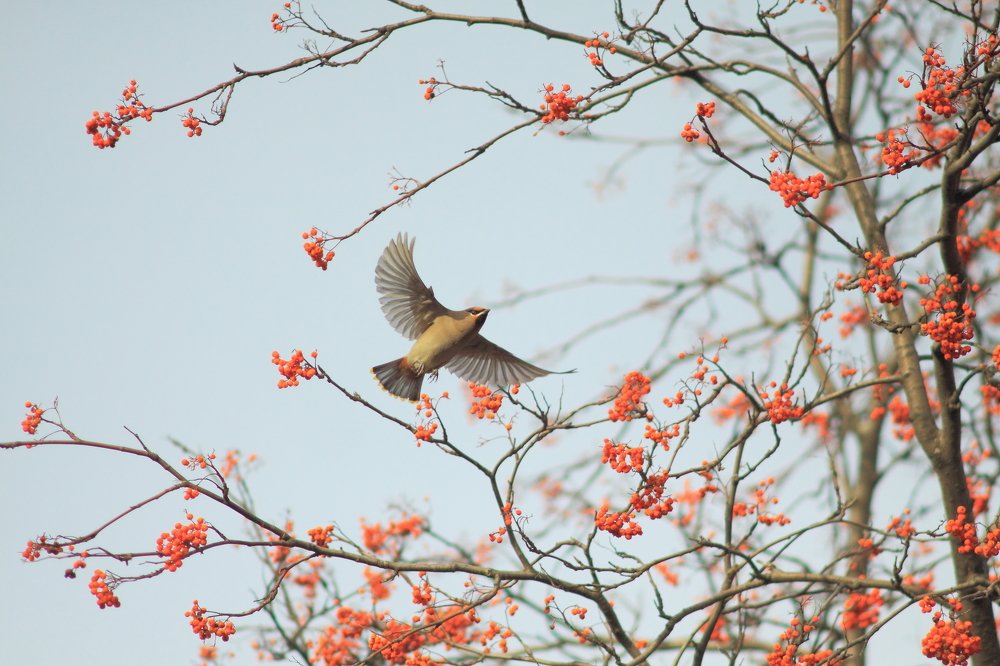 Photograph by Владилен Панченко