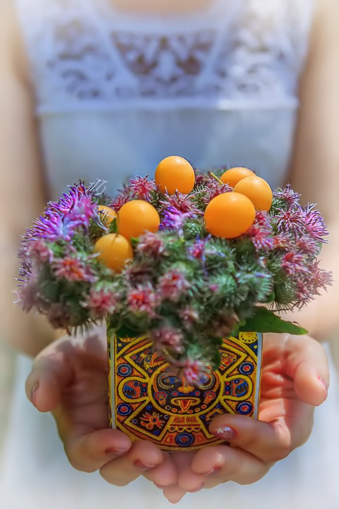 Тольтекский натюрморт