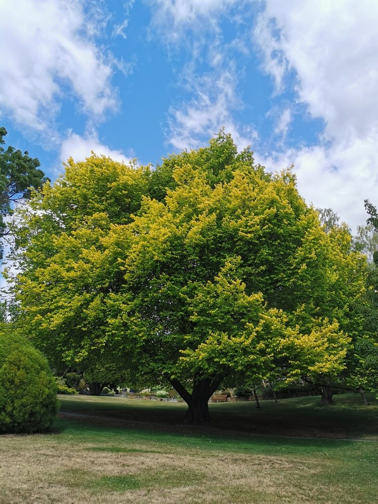 Photograph by Екатерина Шахматова