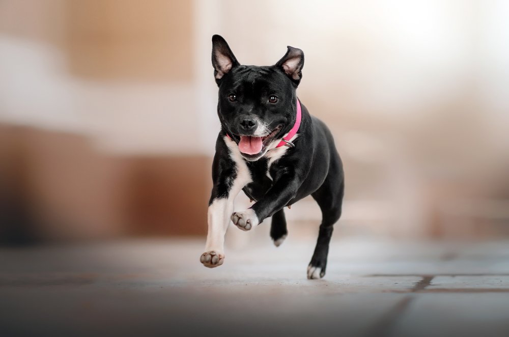 Photograph by Екатерина Кикоть