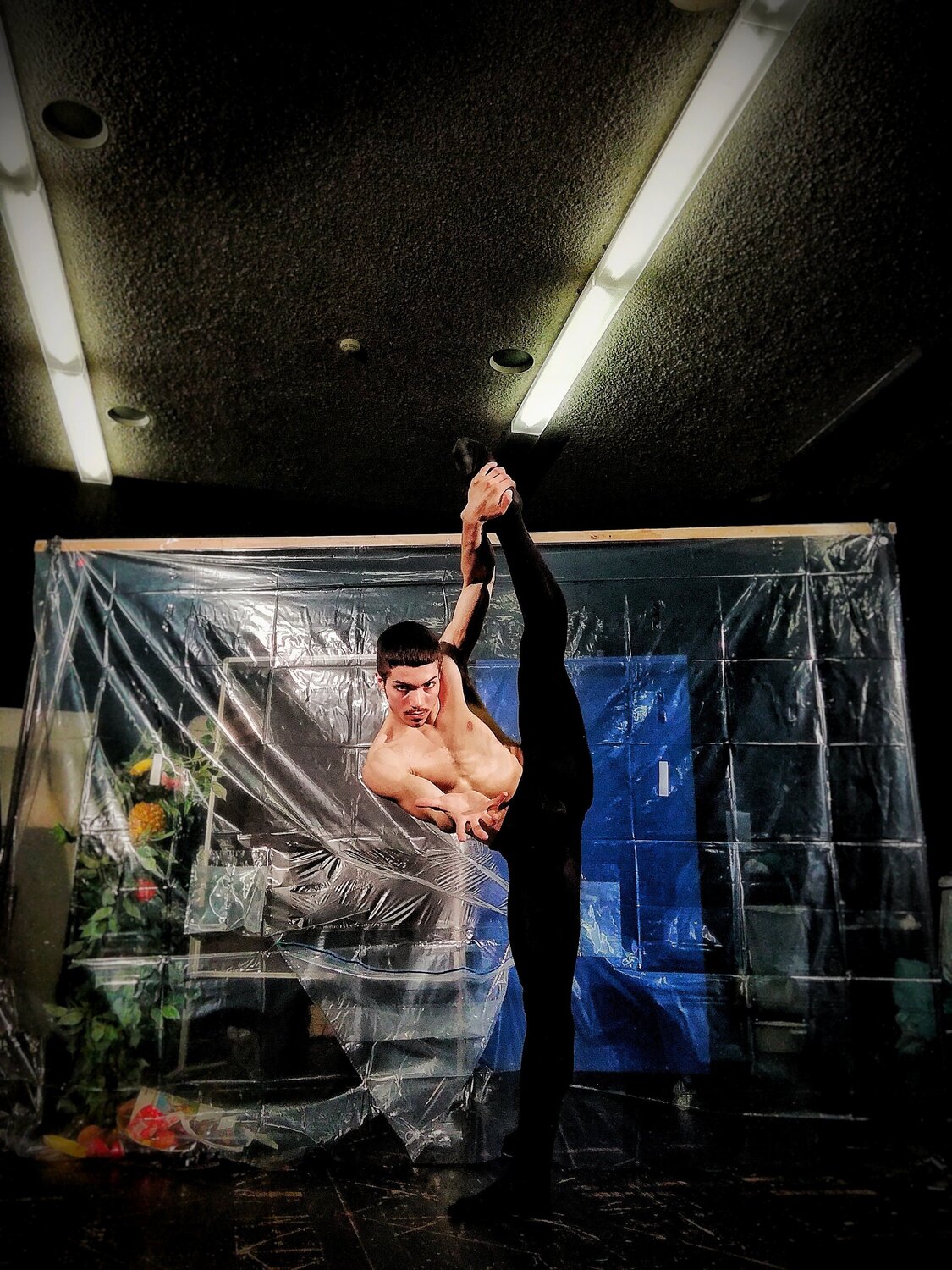 Photo #4484691