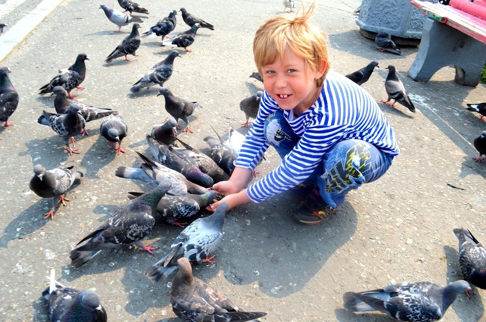 Семечки от Саши