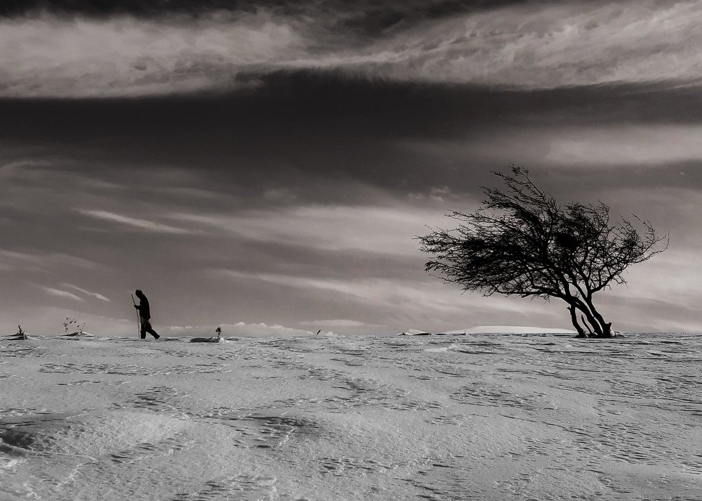 Фотография автора Alipour mohammad