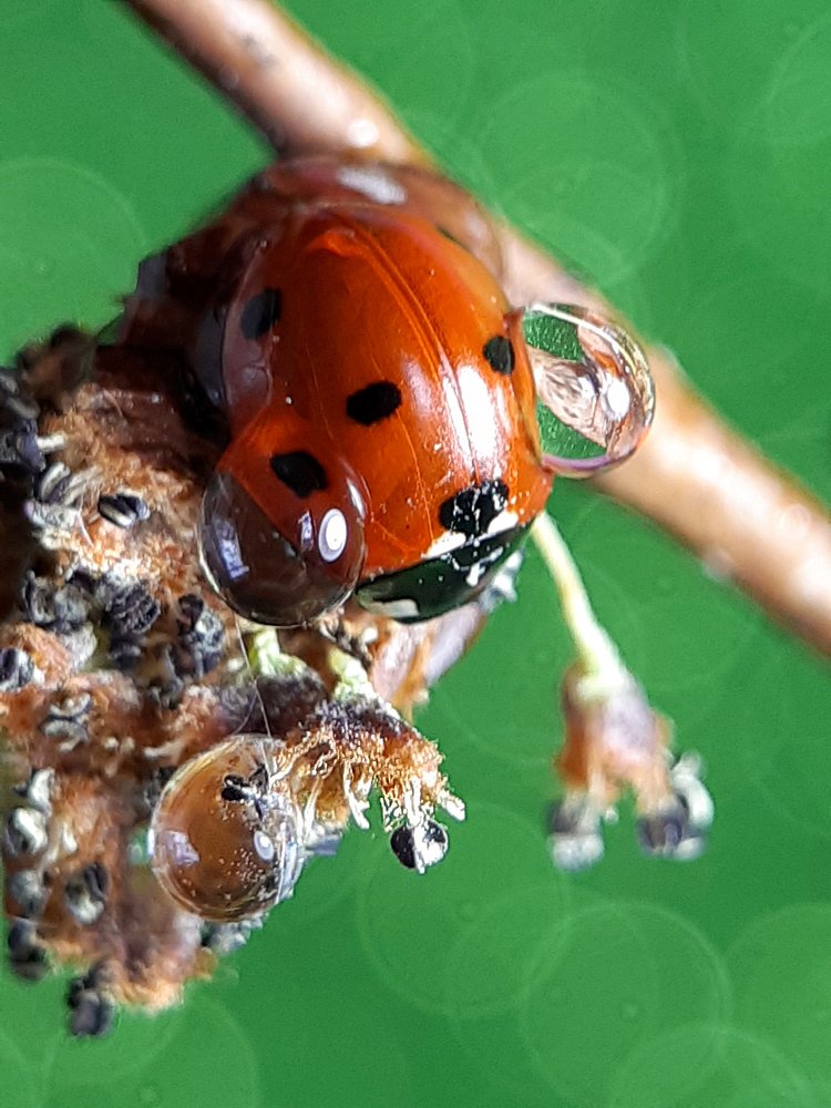 Photograph by Inessa Botasheva