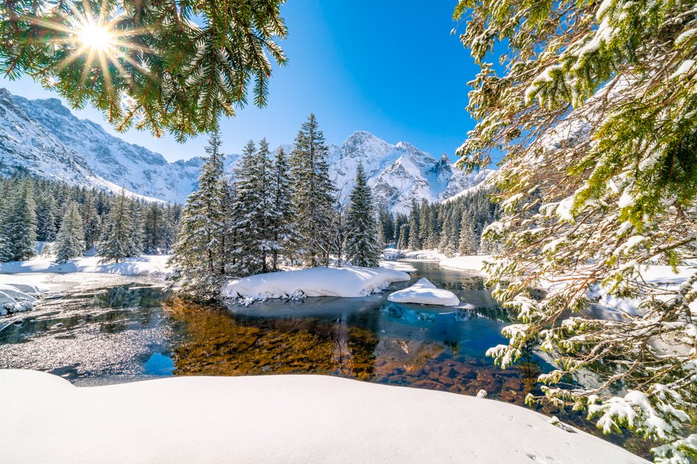 Photograph by Bogdan Bafia