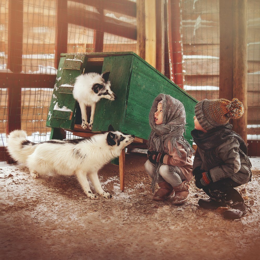 Photograph by Ольга Верхотурова