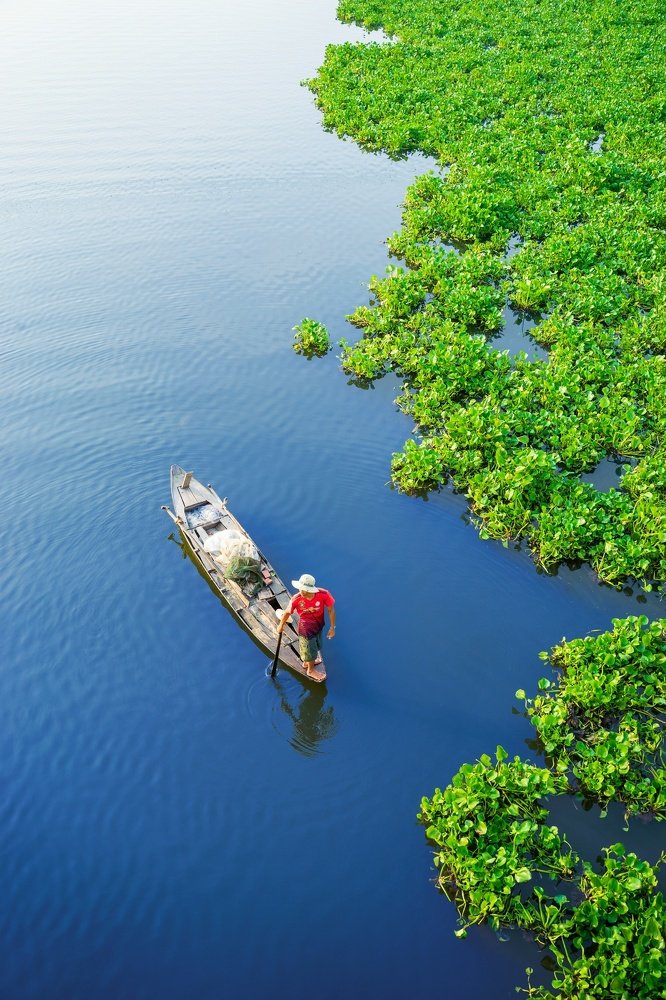 Photograph by Andy Lam