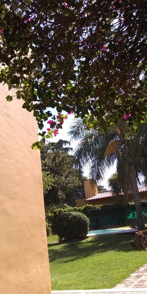 Photo #4485217