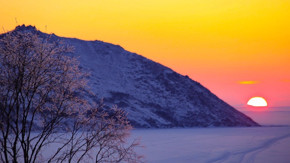 Фотография автора Юлия Егорова
