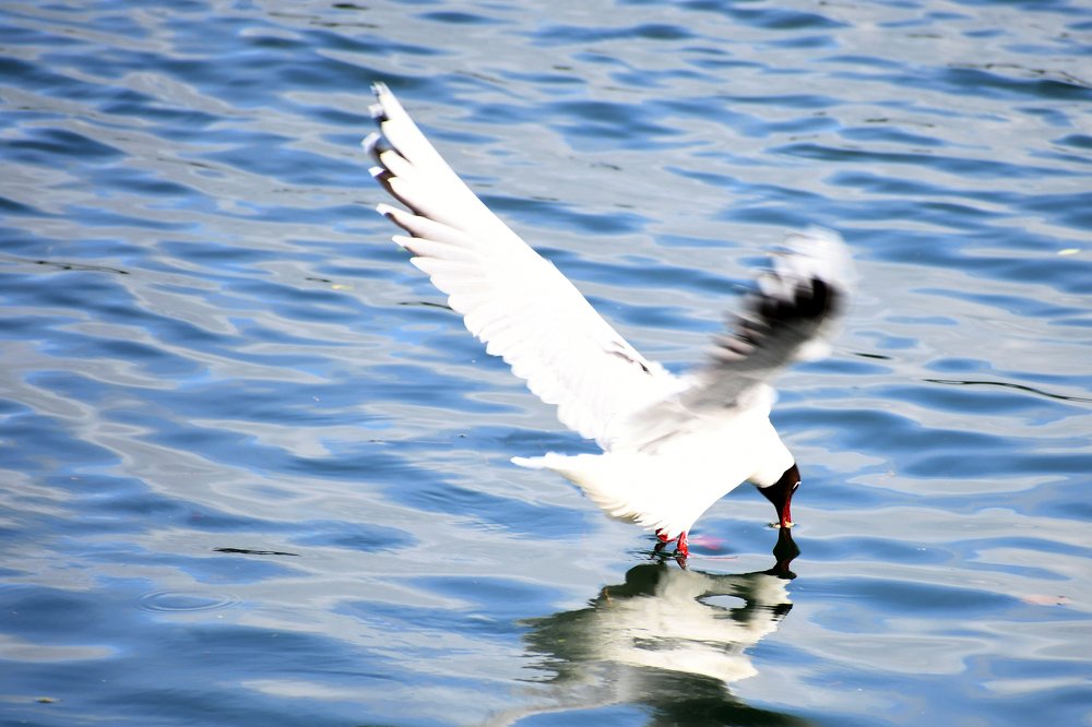 Photograph by Vero Manrique