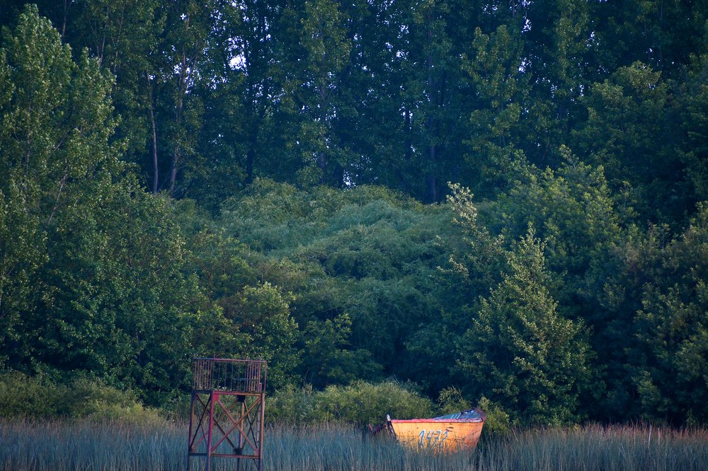 Photograph by Vero Manrique