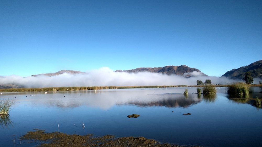 Photo #4485257