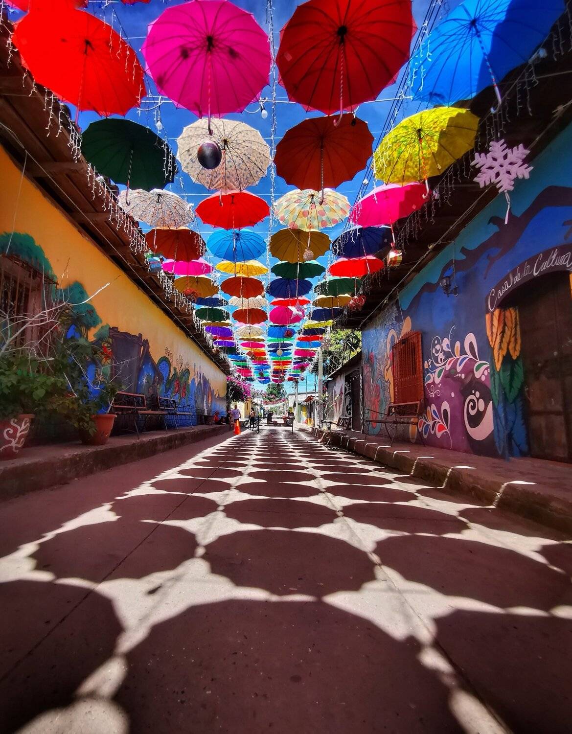Colorfull Day