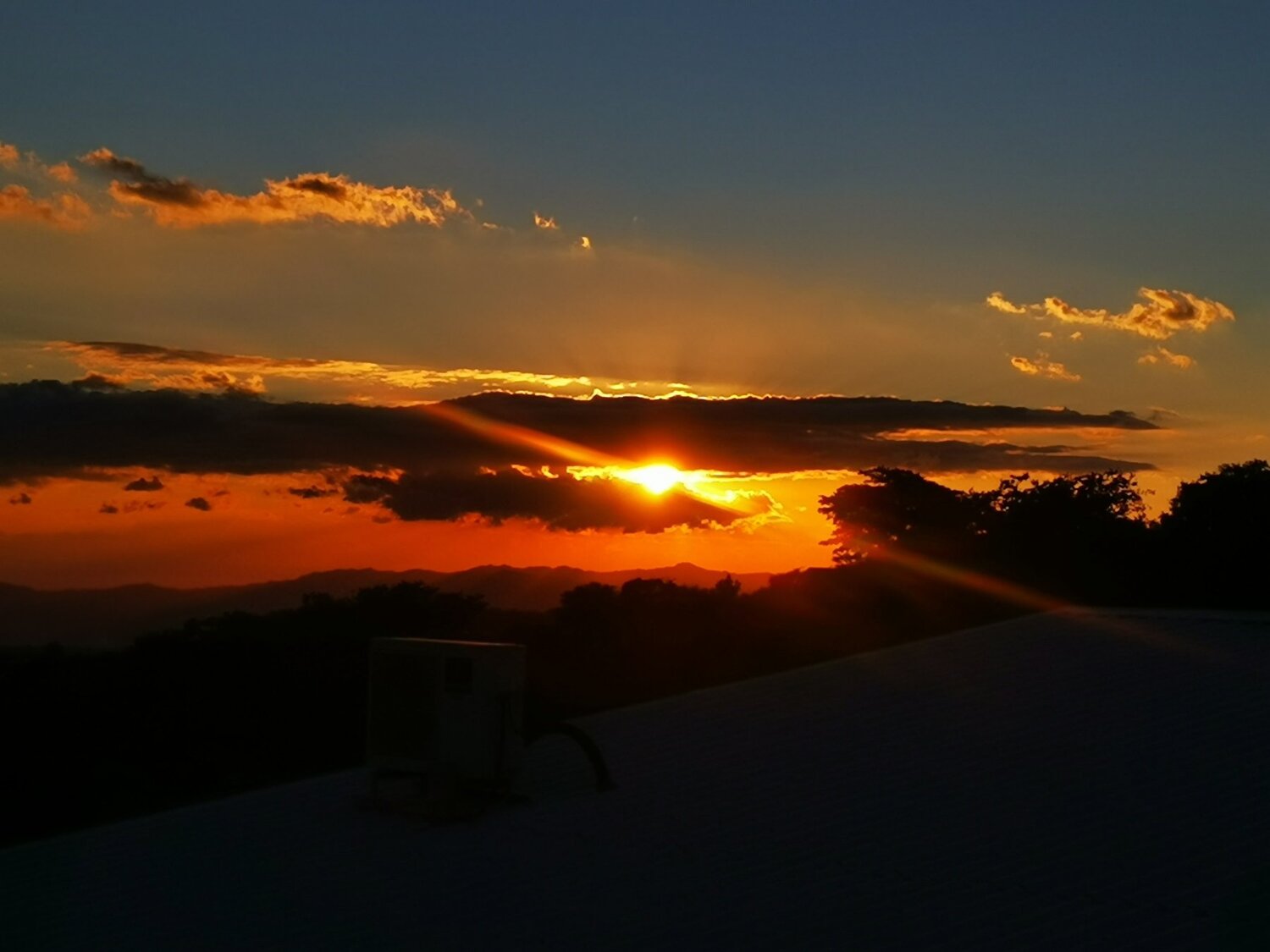 Photo #4485408