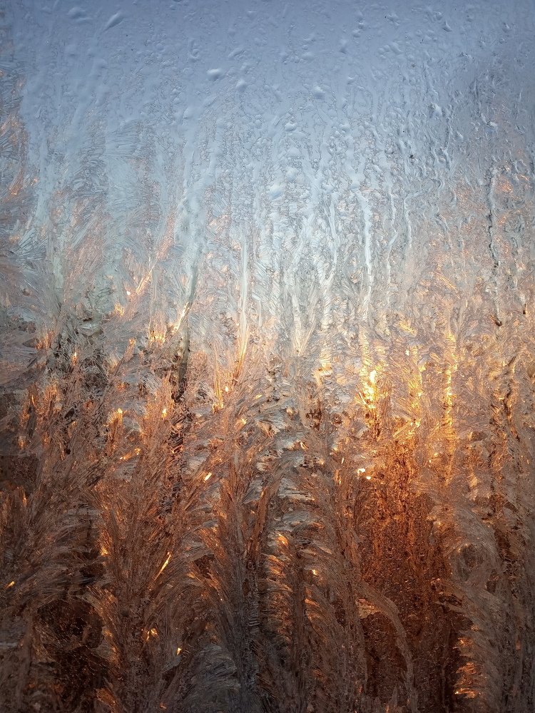 Золото рассвета.