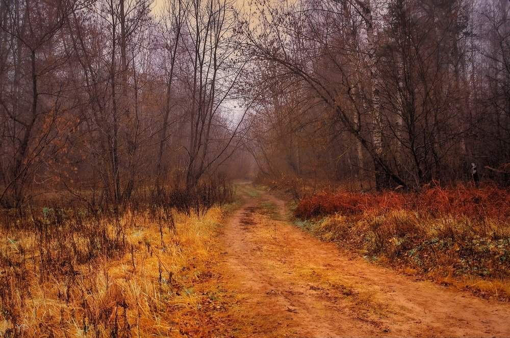 Photograph by Дмитрий Янтарев