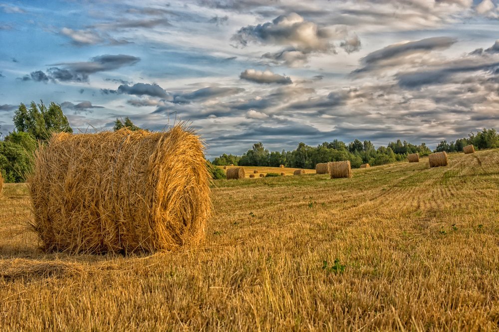 Photograph by Gaļina