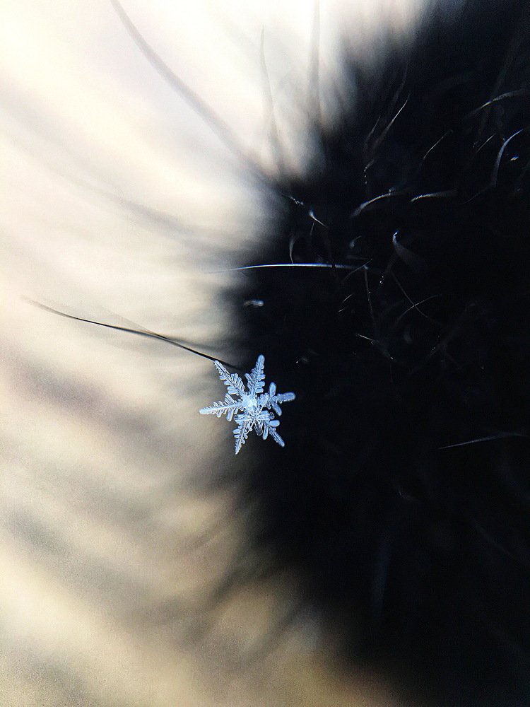 Photograph by Татьяна Галаева