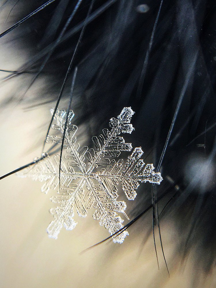 Photograph by Татьяна Галаева