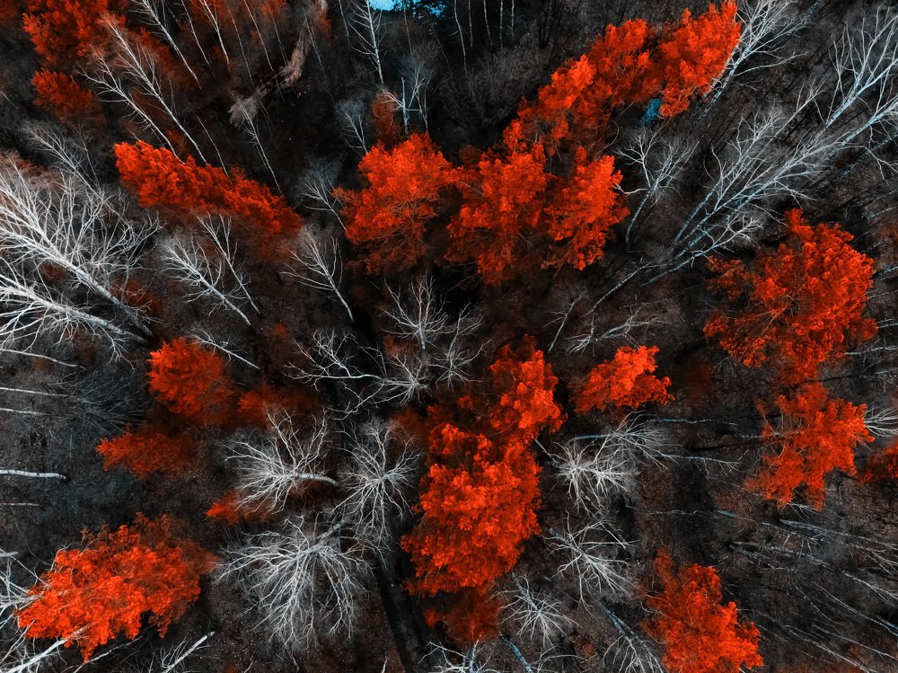 Photograph by Алексей Акулин