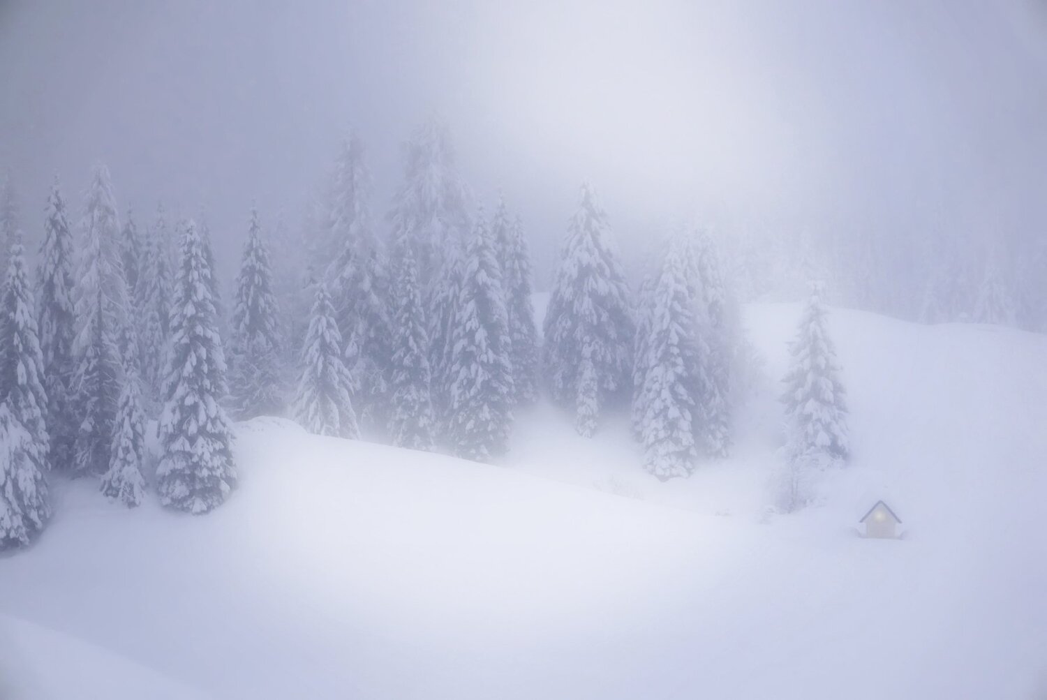 Photo #4485701