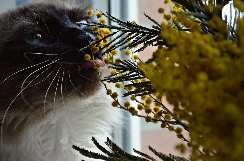 Photograph by Ира Балакова