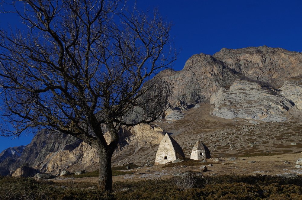 Photograph by Рушана