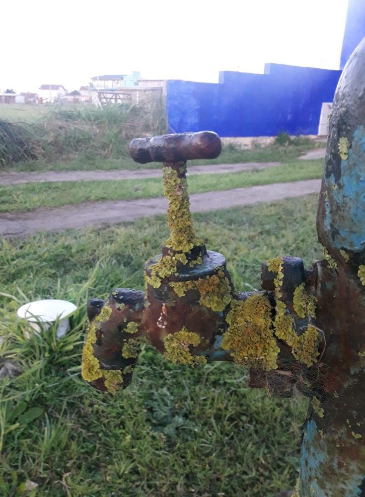 Sed
