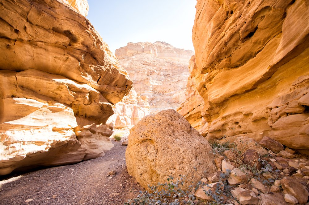 Photograph by Olia Kovryhina (Kudrina)