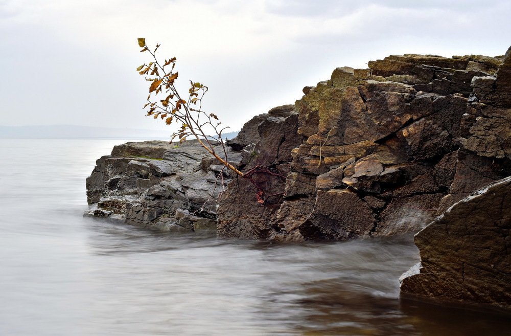 Photograph by Александр Кочуркин