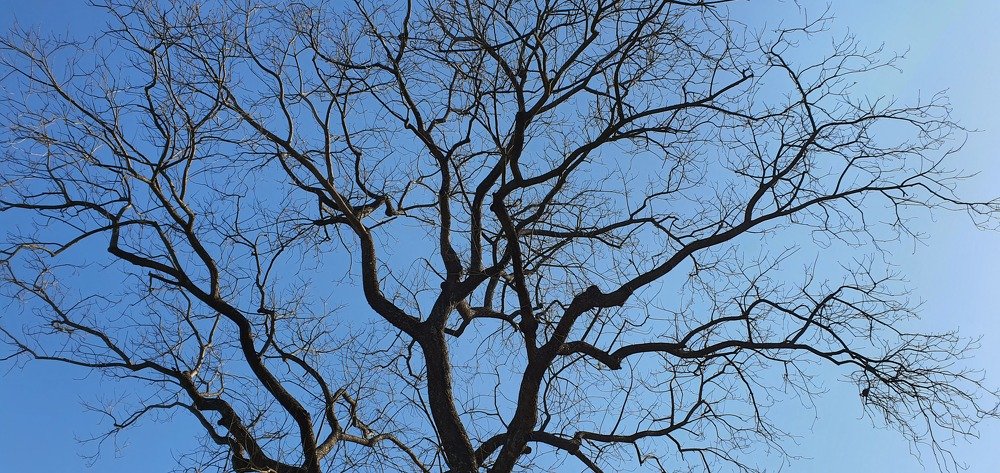 Photograph by Krishna Kunwar