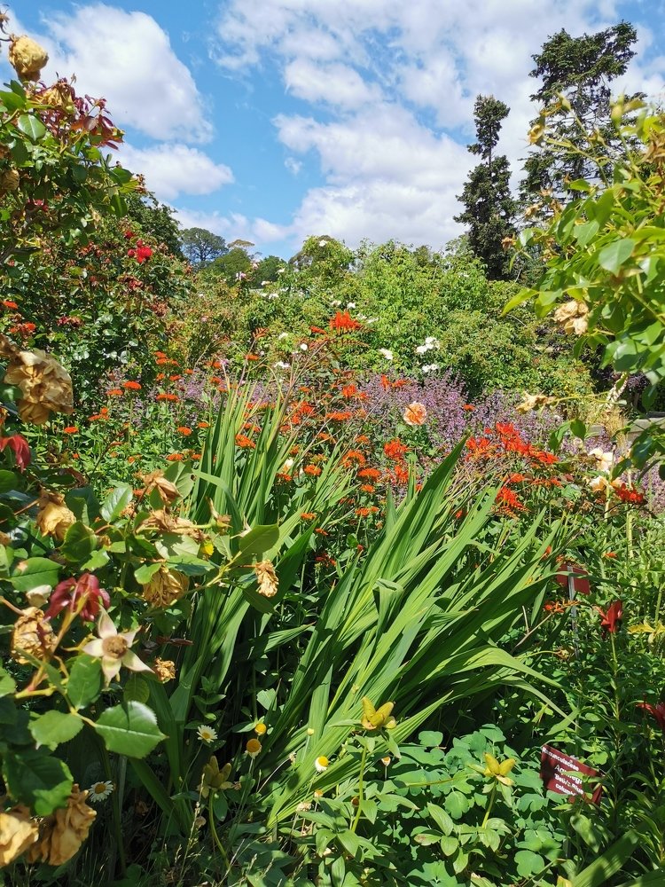 Photograph by Екатерина Шахматова