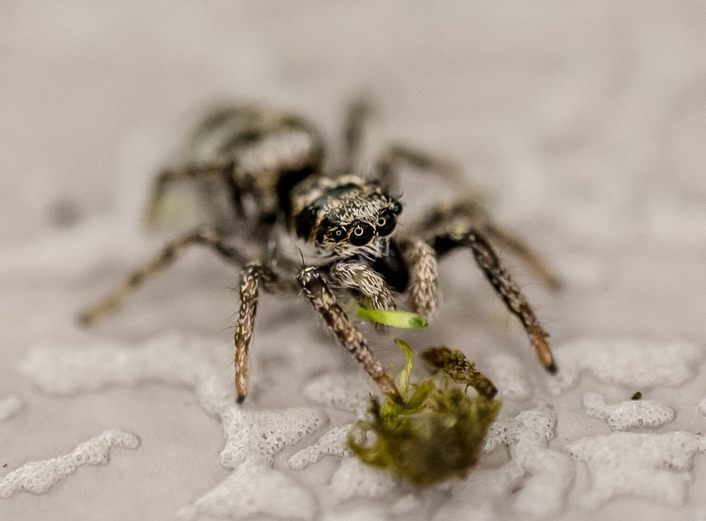 Photograph by Ольга Линк