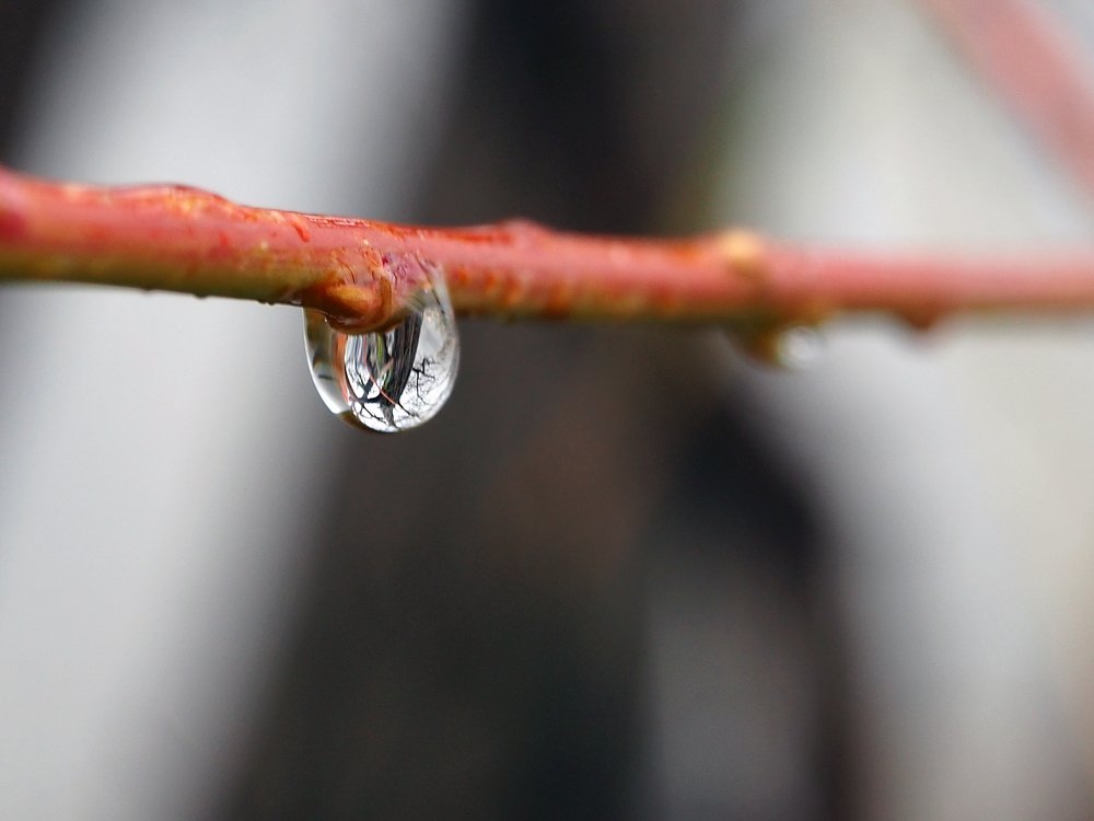 Photograph by Abdolreza Aleagha