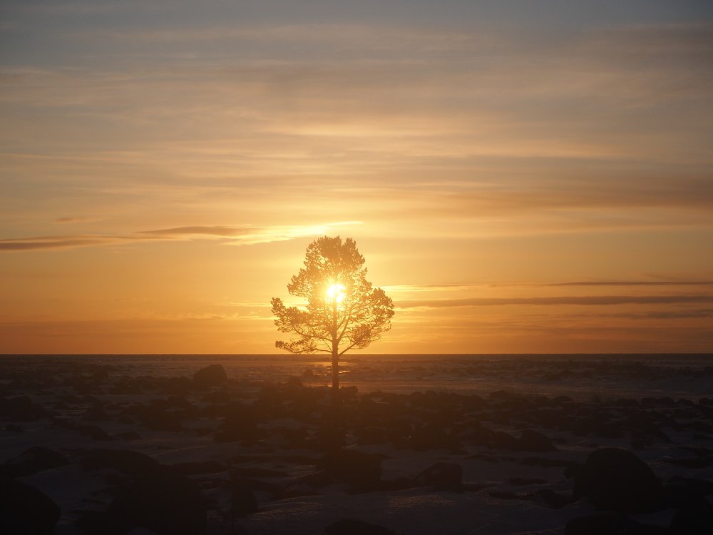 Photograph by Яковлев Евгений