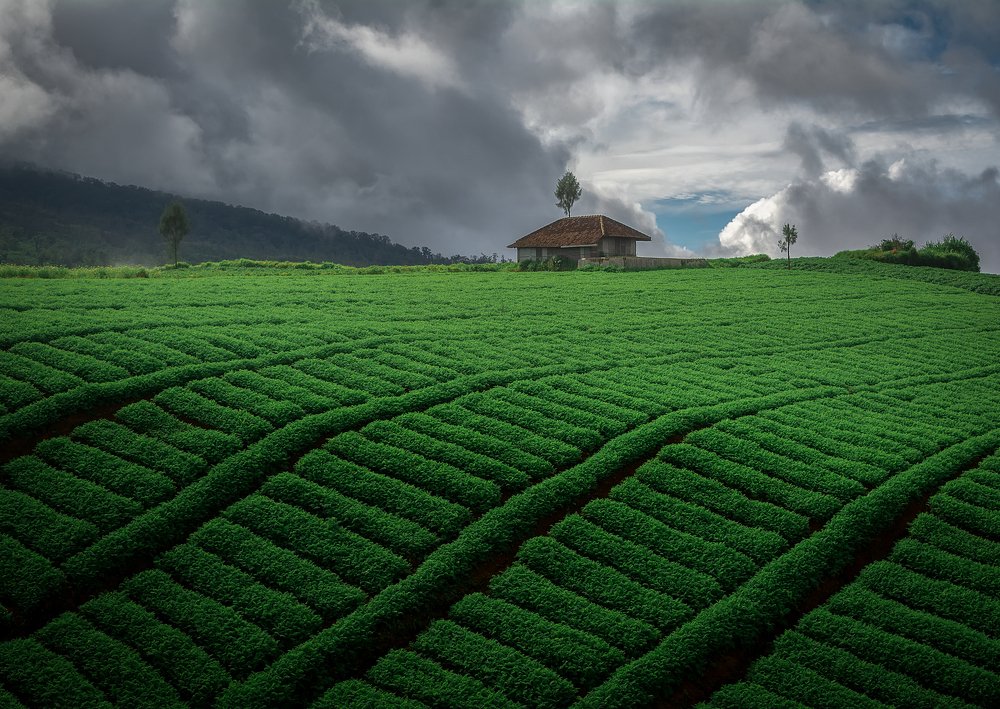 Фотография автора Imam Primahardy
