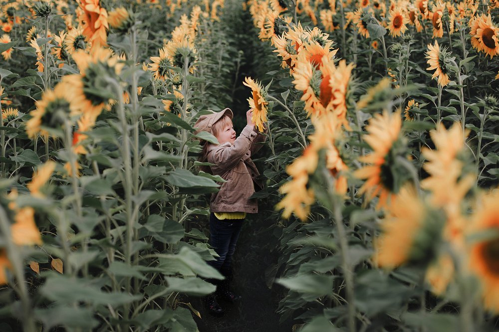 Фотография автора Анна Беляева