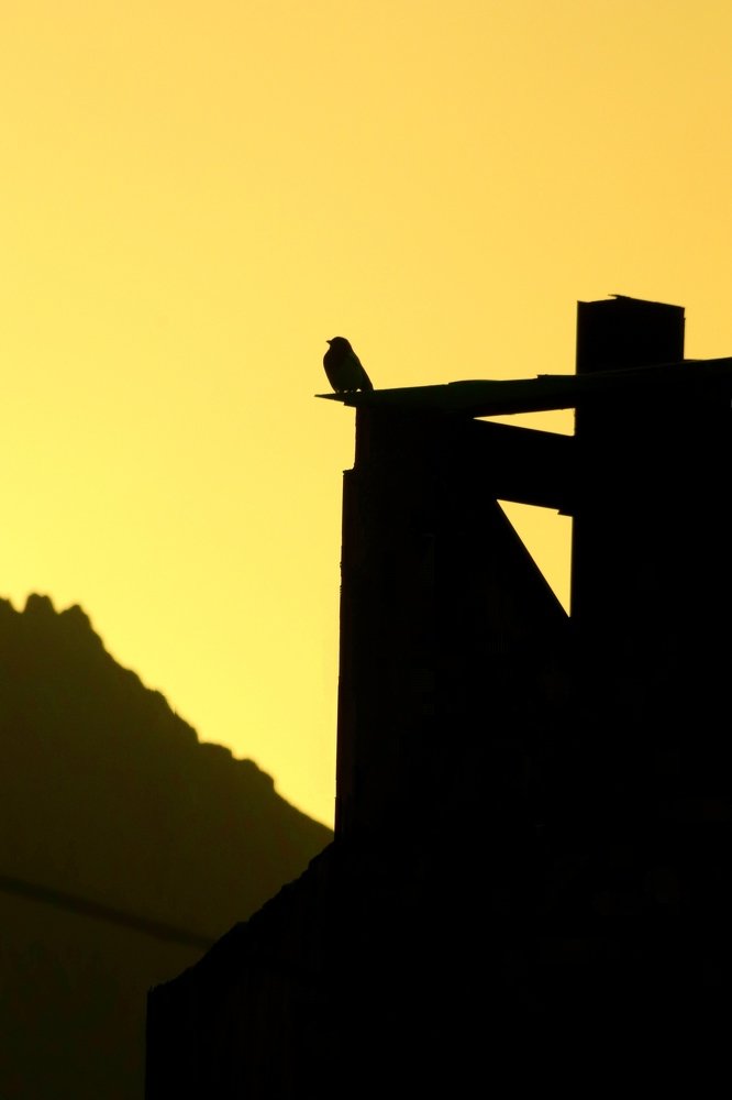 Photograph by kamiar hoseinipour