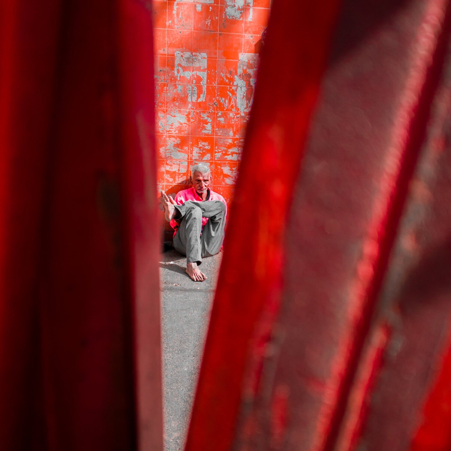 Photo #4486493