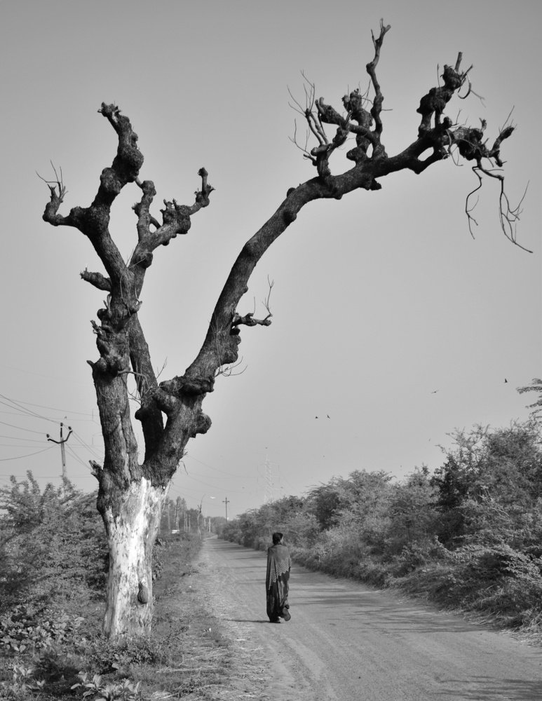 Photograph by Meet Shah