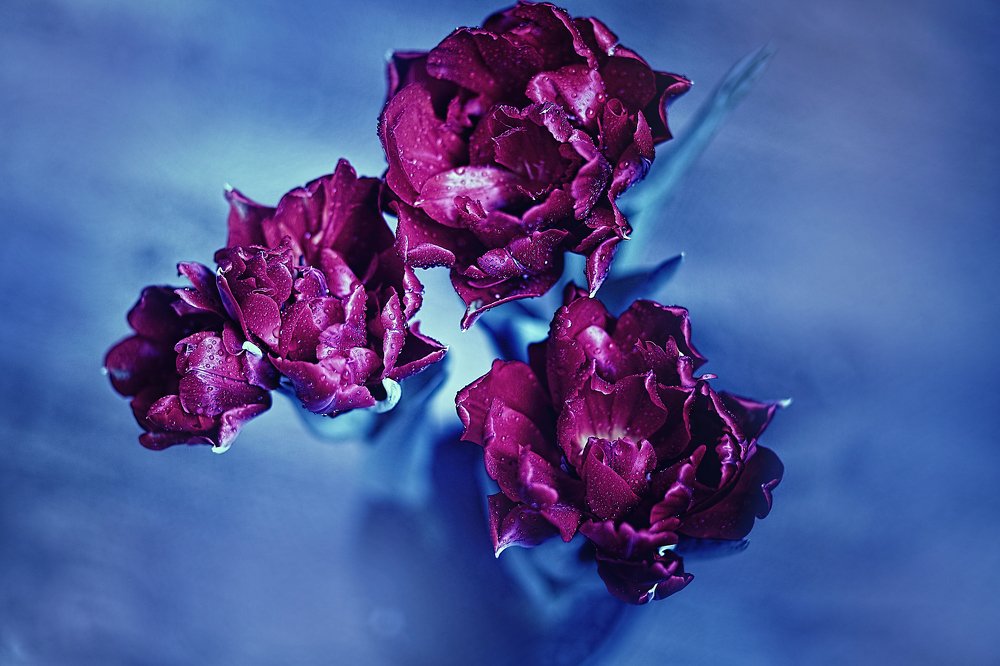 Фотография автора Наталья Ходюк