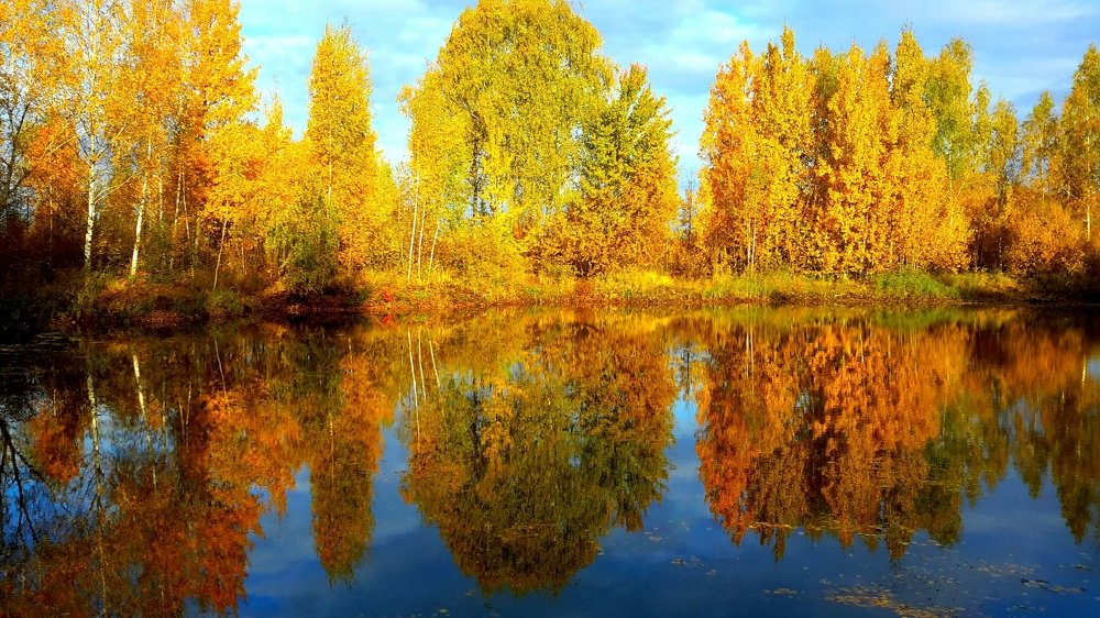 Photograph by Борис Каширин