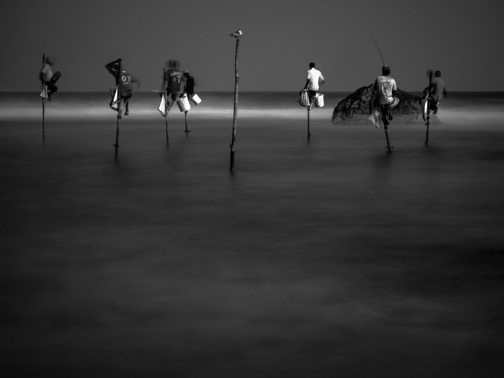 Photograph by pouyan safavi