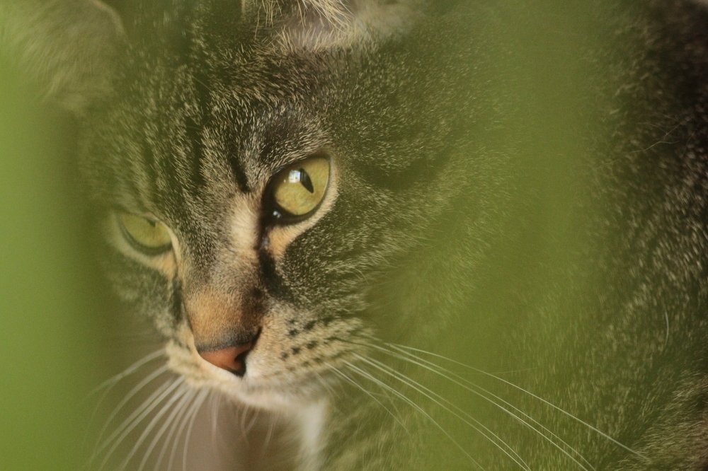 Photograph by Ольга Маркина