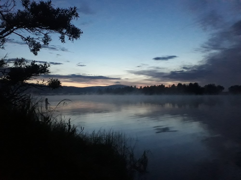 Photo #4487057