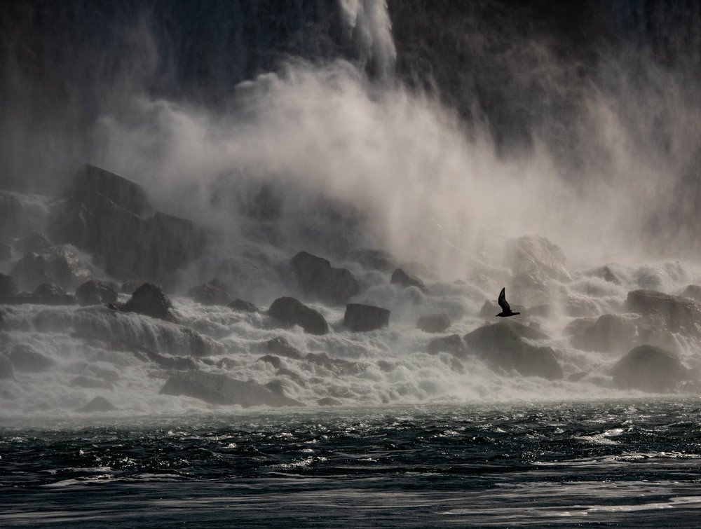 Photograph by JOY SAHA