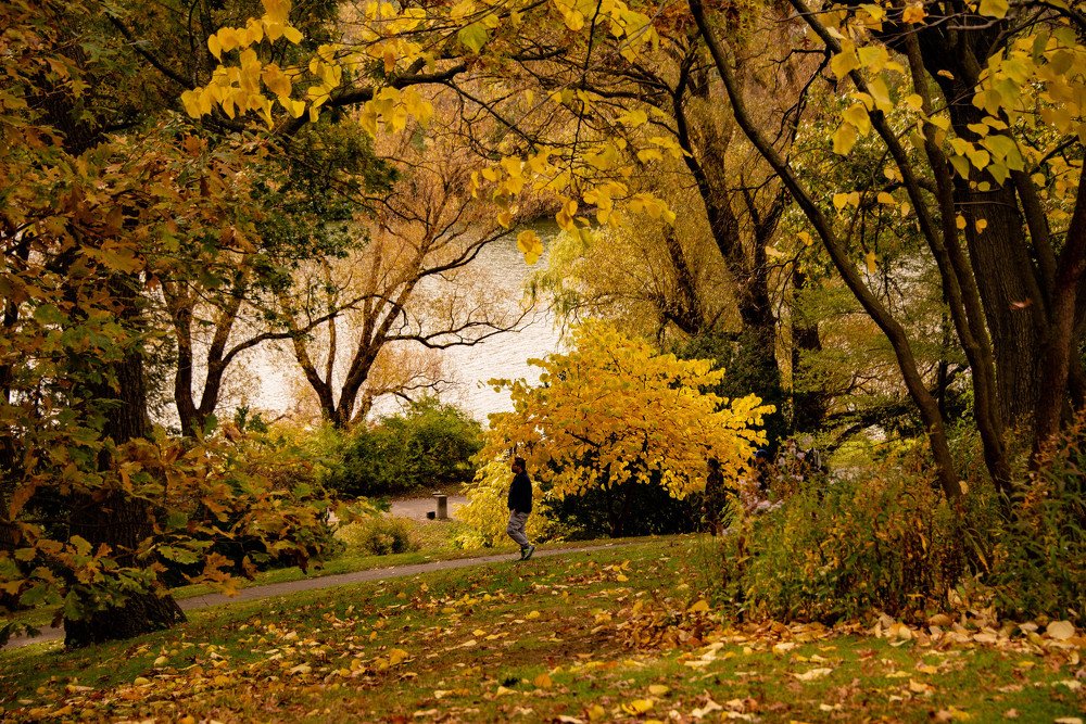 Photograph by JOY SAHA