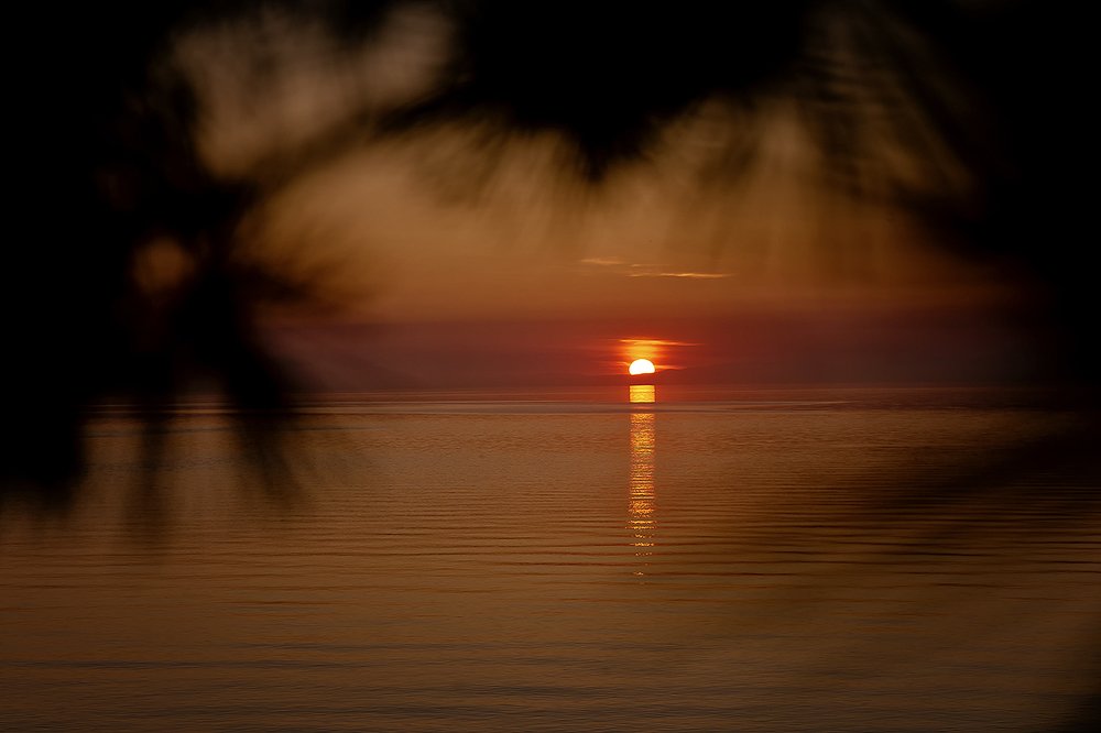 Photograph by Максимова Ольга Васильевна